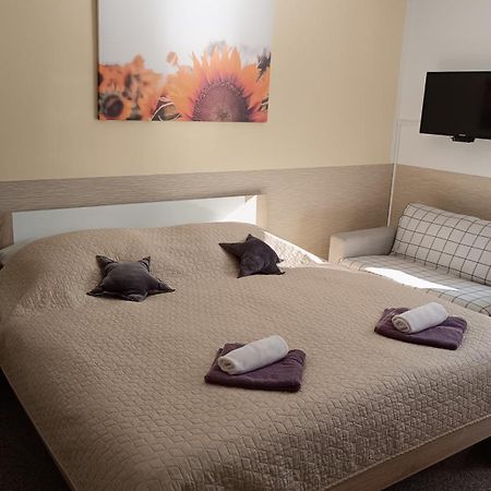 Apartmany Svitkov 79 Pardubice Buitenkant foto
